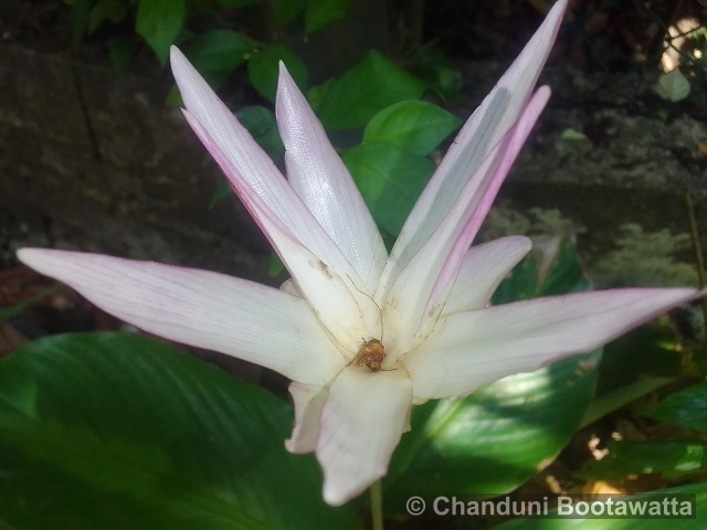 Exif_JPEG_420