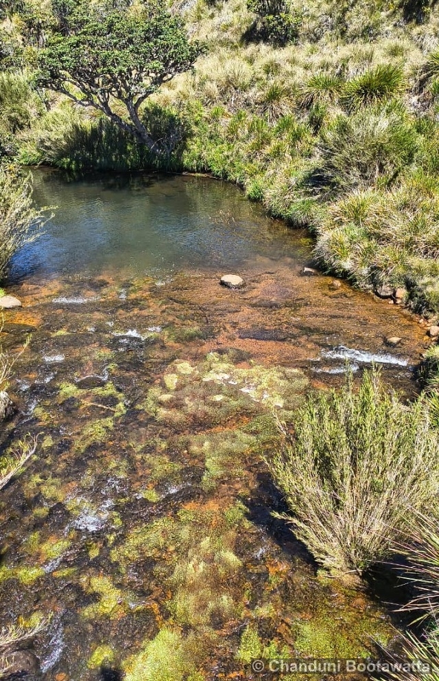 Horton Plains National Park