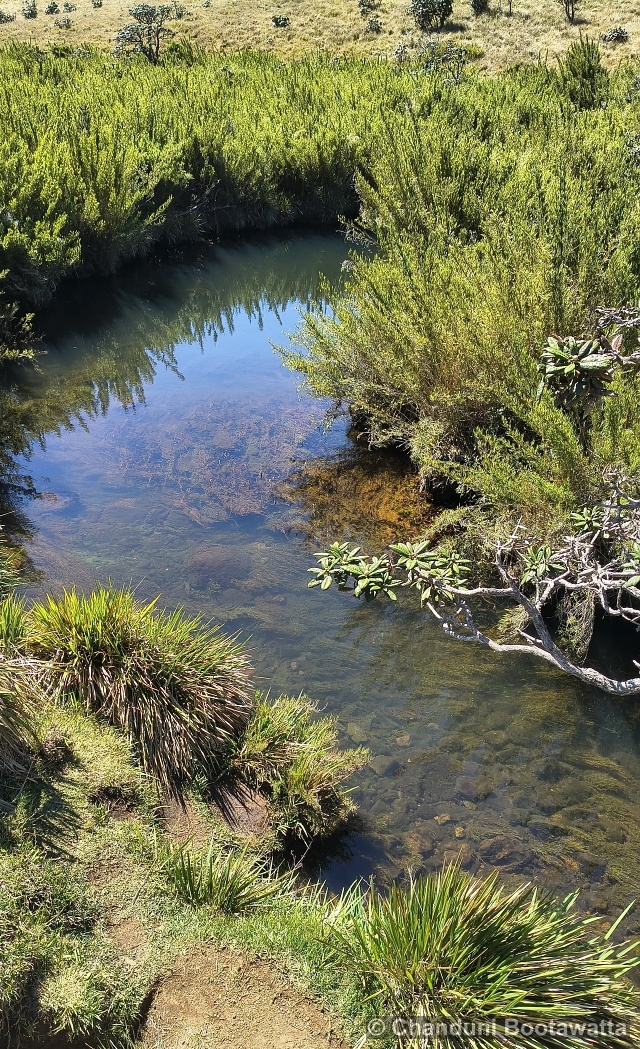 Horton Plains National Park