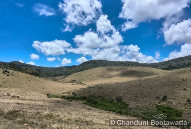 Horton Plains National Park