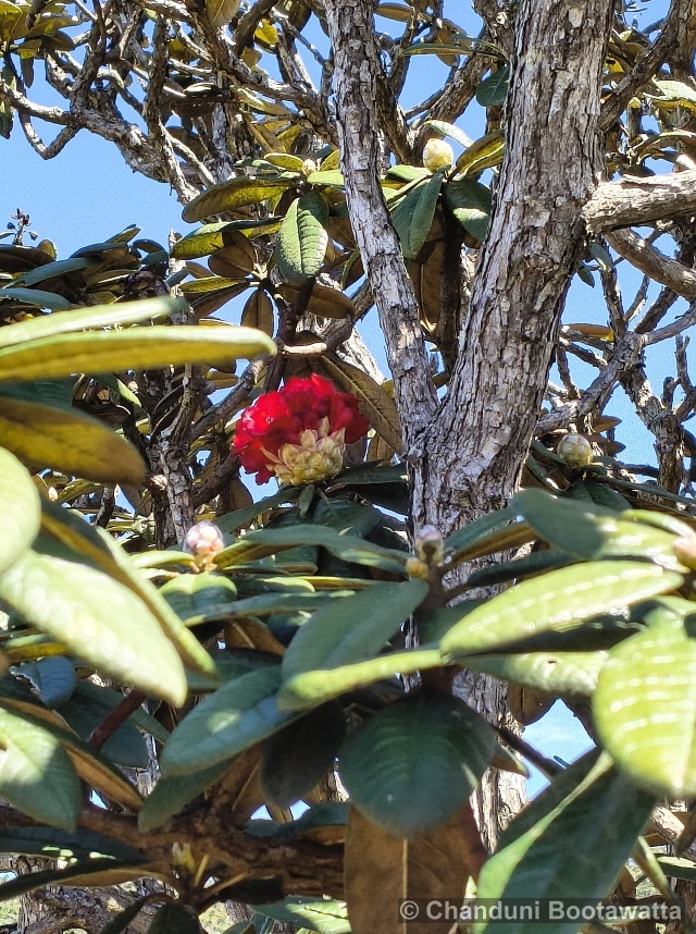 Horton Plains National Park