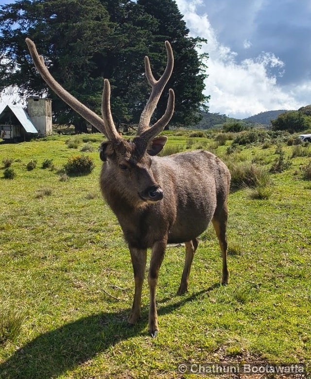 Horton Plains National Park