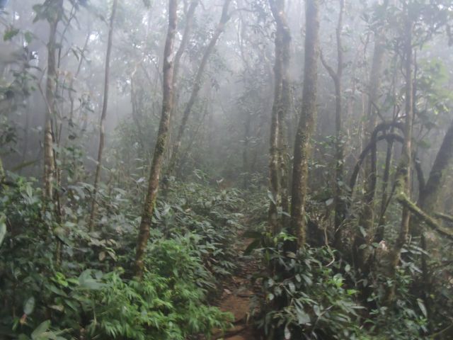 SRI LANKA – SINHARAJA FOREST – Srdce jihoasijské biodiverzity SRI LANKA – SINHARAJA FOREST – Srdce jihoasijské biodiverzity